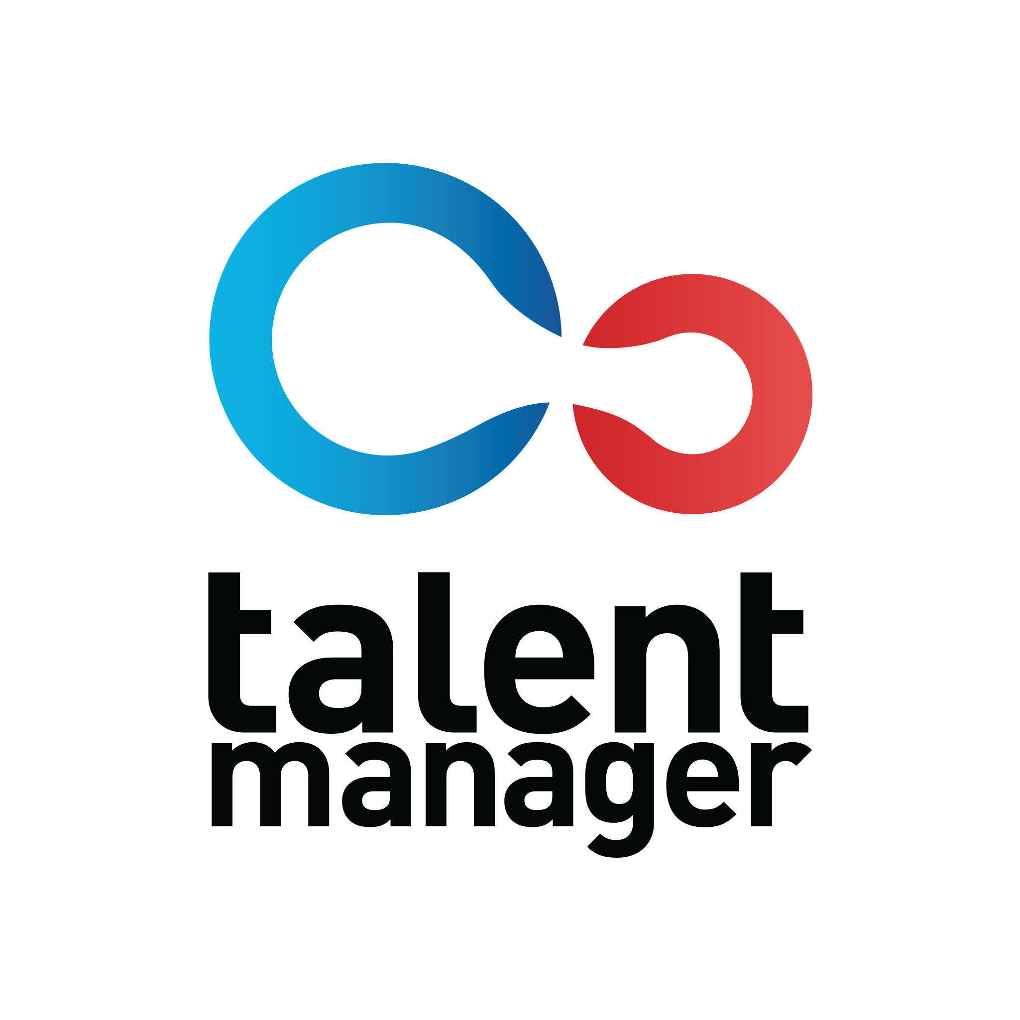 TALENT MANAGER