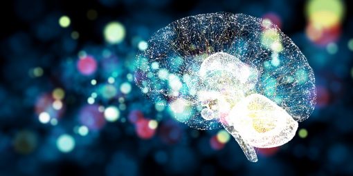 L’intelligenza Emotiva: come utilizzarla per potenziare la leadership