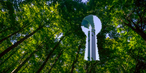 Greenwashing: rischio strategico e architettura di presidio per il management