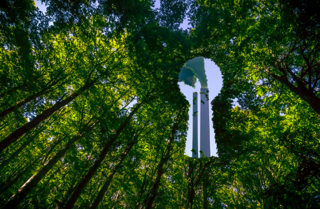 Greenwashing: rischio strategico e architettura di presidio per il management