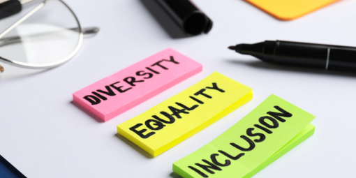 Diversity Inclusion, Parità di genere e Social AccountAbility